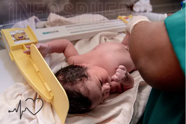 Newborn baby being measured using an infantometer immediately after birth.