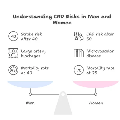 Infographic comparing CAD risks in men and women, including stroke risk, artery blockages, and mortality rates.