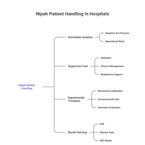 Flowchart showing hospital handling of Nipah patients, including isolation in negative pressure wards, supportive care (hydration, seizure and respiratory management), experimental therapies, and barrier nursing with PPE.